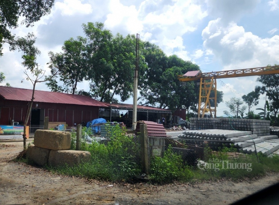 Thanh Hóa: Doanh nghiệp ngang nhiên vi phạm hành lang đê điều, chính quyền huyện ở đâu? Thanh Hóa: Doanh nghiệp ngang nhiên vi phạm hành lang đê điều, chính quyền huyện ở đâu?