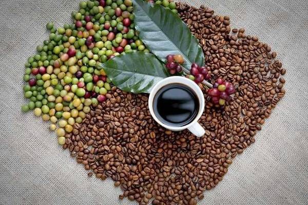 Giá cà phê hôm nay, 13/4: Giá cà phê trong nước tăng gần 1.000 đồng/kg Giá cà phê hôm nay, 13/4: Giá cà phê trong nước tăng gần 1.000 đồng/kg