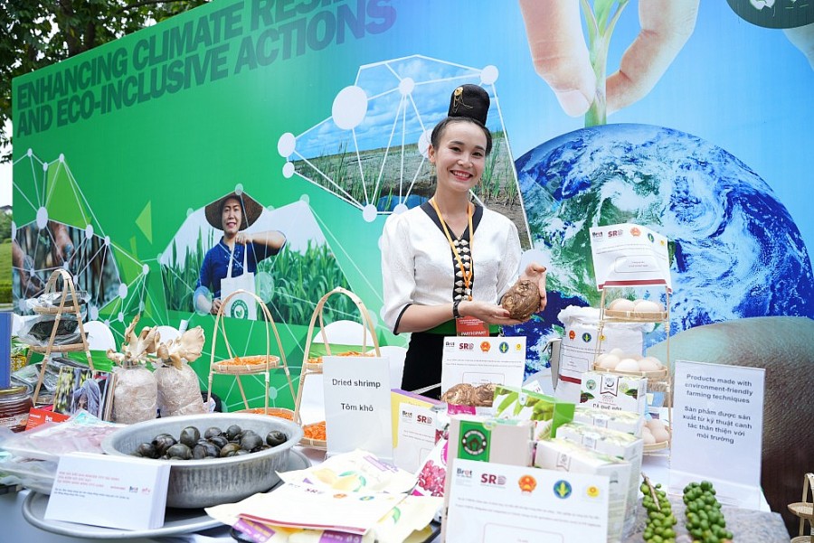 Chia sẻ về các mô hình thành công