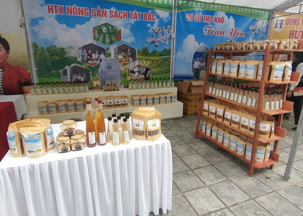 Loay hoay tìm đầu ra cho sản phẩm táo mèo của đồng bào dân tộc Điện Biên