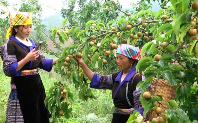 Thủ tướng Chính phủ: Yên Bái cần phát huy tiềm năng, đổi mới sáng tạo để phát triển Thủ tướng Chính phủ: Yên Bái cần phát huy tiềm năng, đổi mới sáng tạo để phát triển