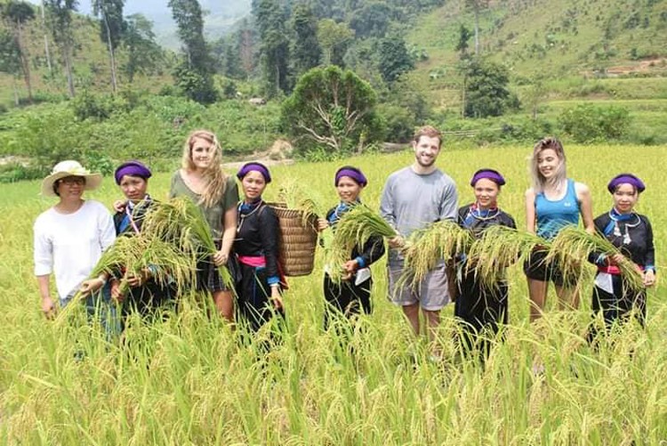 Bản Liền huyện Băc Hà gắn phát triển du lịch nông nghiệp với bảo vệ môi trường nông thôn mới