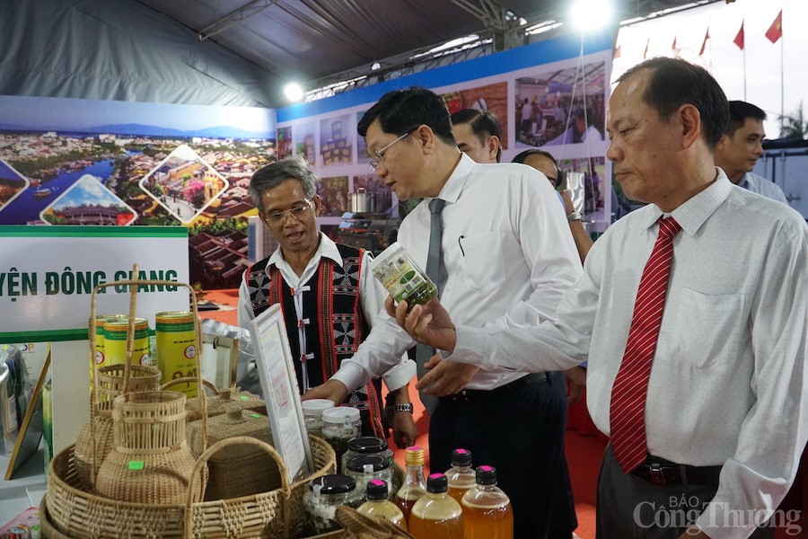 Quảng Nam: Cây chuyên canh mang lại hiệu quả kinh tế cao cho đồng bào dân tộc thiểu số