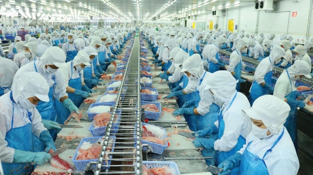 Chứng khoán hôm nay ngày 31/10: Nhận định thị trường và khuyến nghị cổ phiếu VHC Chứng khoán hôm nay ngày 31/10: Nhận định thị trường và khuyến nghị cổ phiếu VHC