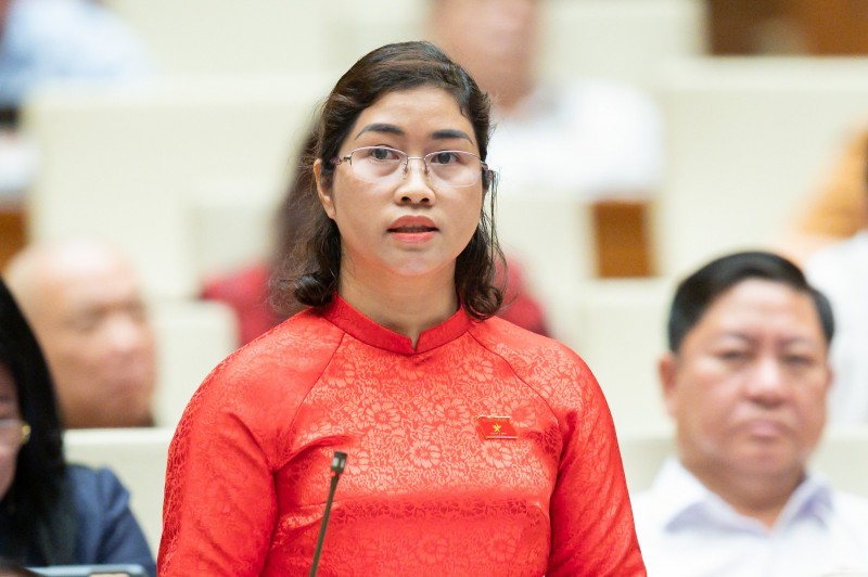 Cử tri quan tâm đến sai phạm ở Công ty Cổ phần Tiến bộ quốc tế AIC và Việt Á Cử tri quan tâm đến sai phạm ở Công ty Cổ phần Tiến bộ quốc tế AIC và Việt Á