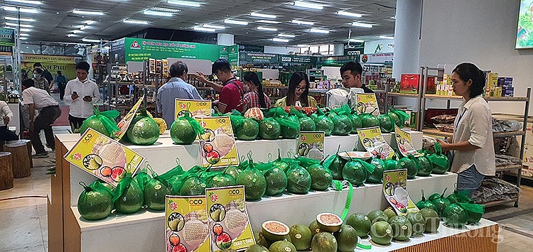 Nhiều đặc sản vùng miền hội tụ tại “Điểm giới thiệu nông sản an toàn và làng nghề truyền thống Việt Nam” Nhiều đặc sản vùng miền hội tụ tại “Điểm giới thiệu nông sản an toàn và làng nghề truyền thống Việt Nam”