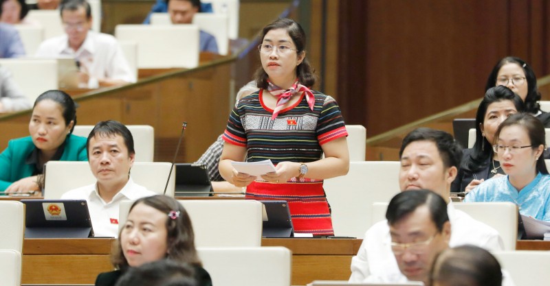 đại biểu Phạm Thị Kiều – đoàn Đắk Nông đại biểu Phạm Thị Kiều – đoàn Đắk Nông