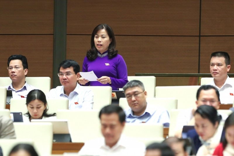Đại biểu Lý Thị Lan - đoàn Hà Giang Đại biểu Lý Thị Lan - đoàn Hà Giang