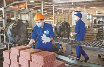 Điểm đến lý tưởng của nguồn nhân lực chất lượng cao