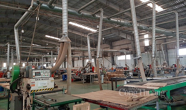 Thiếu đơn hàng trong nước và xuất khẩu, thị trường gỗ ghép thanh trong tình trạng "ngủ đông" Thiếu đơn hàng trong nước và xuất khẩu, thị trường gỗ ghép thanh trong tình trạng "ngủ đông"