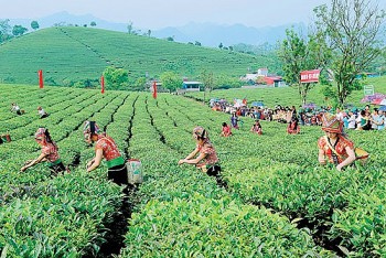 Khơi thông tiềm năng xúc tiến thương mại, xuất nhập khẩu cho khu vực Tây Bắc