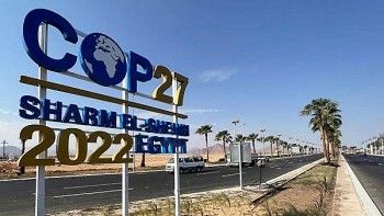 COP 27: Bồi thường biến đổi khí hậu, cơ hội nào cho Việt Nam