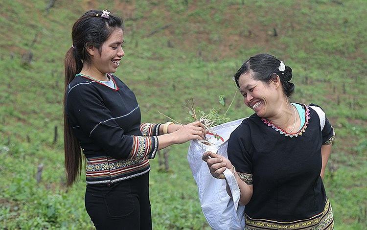 Cargill Việt Nam “bắt tay” cùng CARE International phát triển nông nghiệp bền vững tại Đắk Lắk Cargill Việt Nam “bắt tay” cùng CARE International phát triển nông nghiệp bền vững tại Đắk Lắk