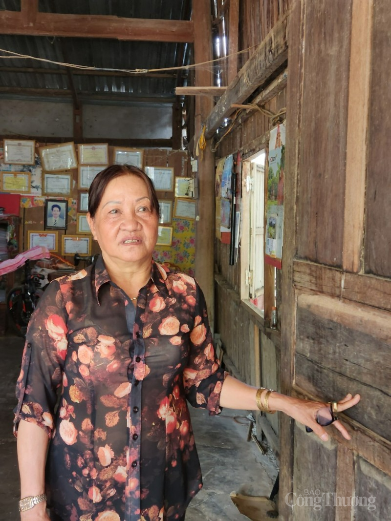 Người Chơ Ro ở Đồng Nai phát triển kinh tế nhờ trồng rừng bền vững Người Chơ Ro ở Đồng Nai phát triển kinh tế nhờ trồng rừng bền vững