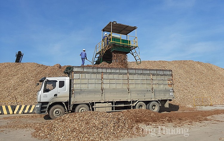 Bài 3: Cần tháo chính sách, gỡ vướng hoàn thuế VAT cho doanh nghiệp ngành dăm gỗ