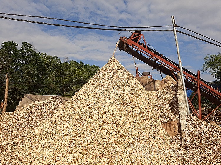 Doanh nghiệp ngành gỗ kêu cứu vì những bất hợp lý trong thực thi hoàn thuế VAT