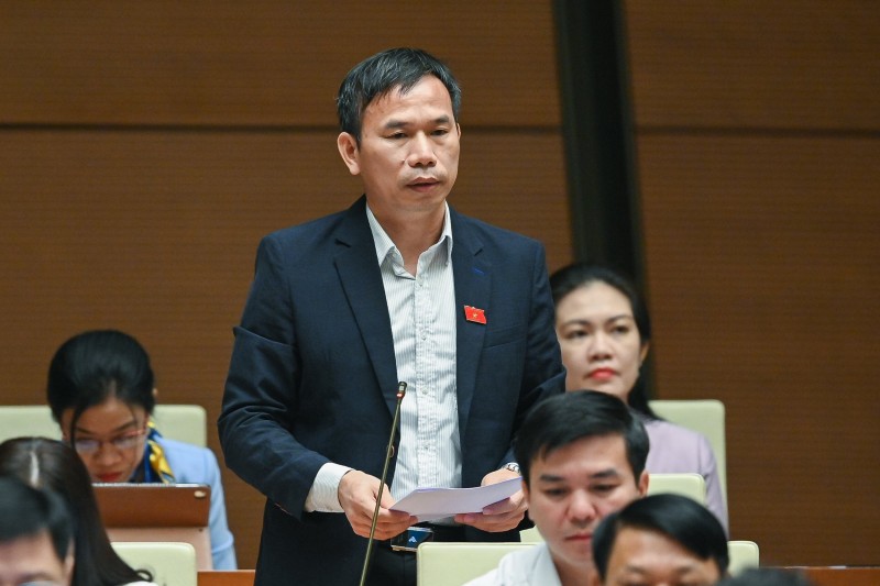 đại biểu Đồng Ngọc Ba - đoàn Bình Định đại biểu Đồng Ngọc Ba - đoàn Bình Định