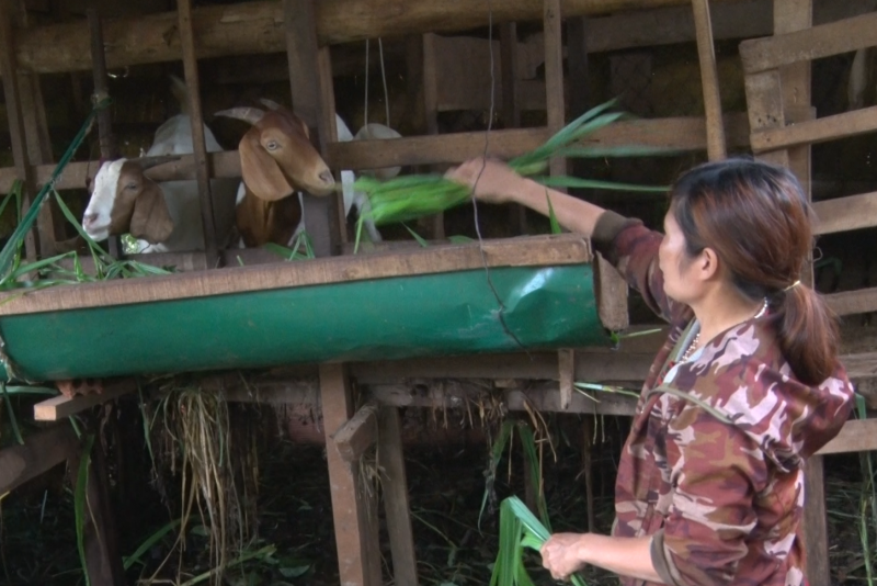 Đắk Nông: Kịp thời thực hiện có hiệu quả các chương trình, chính sách dân tộc Đắk Nông: Kịp thời thực hiện có hiệu quả các chương trình, chính sách dân tộc