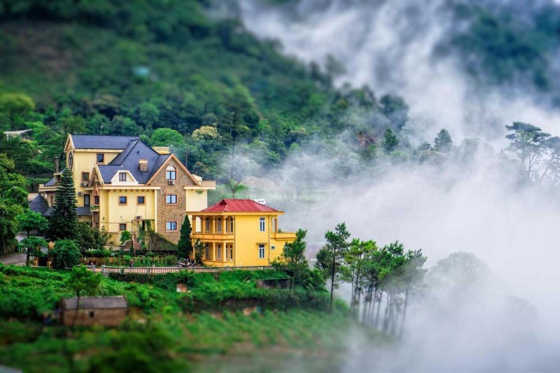 Tam Đảo (Vĩnh Phúc) – nơi gặp gỡ, giao thoả của đất, trời Tam Đảo (Vĩnh Phúc) – nơi gặp gỡ, giao thoả của đất, trời