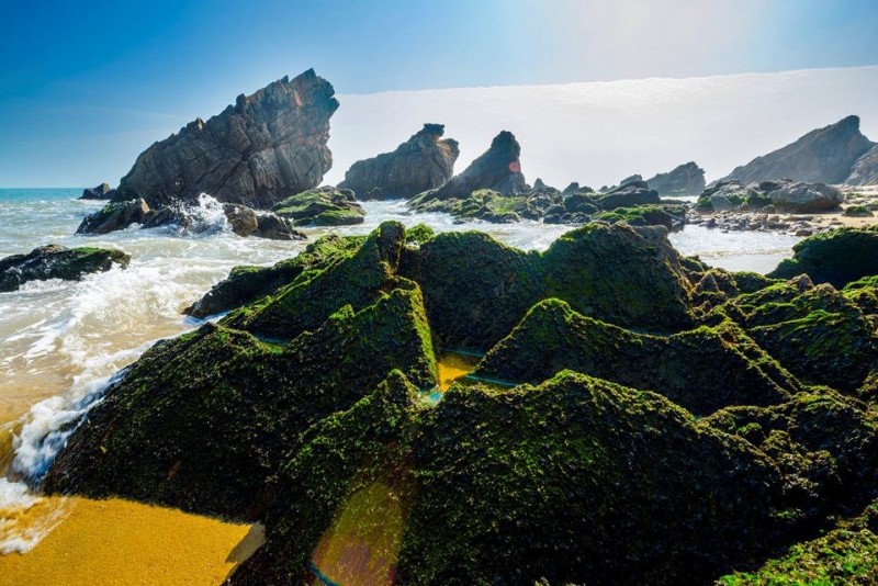 Bài 3: Các nhà quản lý, chuyên gia nói gì? Bài 3: Các nhà quản lý, chuyên gia nói gì?