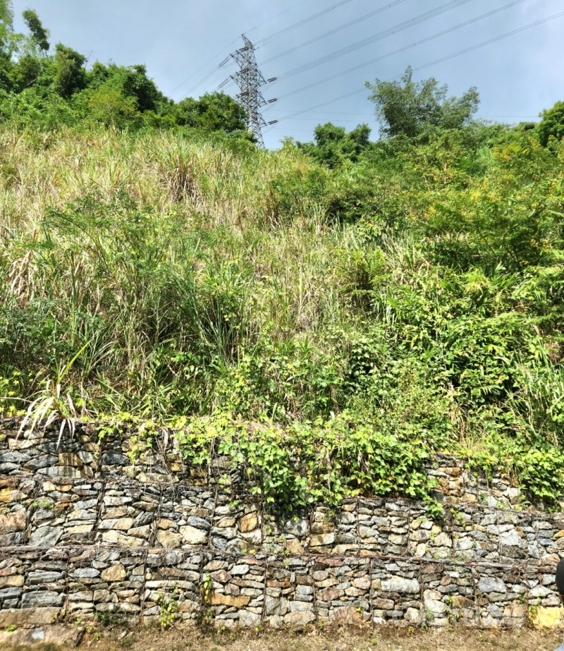 Truyền tải điện Nghệ An: Đảm bảo vận hành an toàn lưới điện trong mùa mưa bão Truyền tải điện Nghệ An: Đảm bảo vận hành an toàn lưới điện trong mùa mưa bão