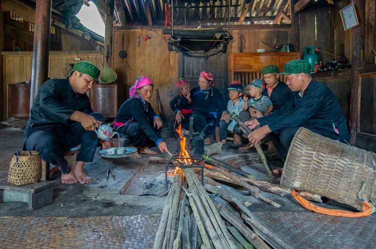 Nông dân vùng cao Bắc Hà giảm nghèo bền vững từ cây chè Shan tuyết