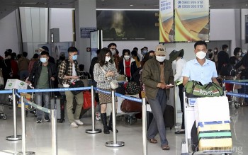 Nghệ An: 3 giám đốc không được xuất cảnh vì nợ thuế