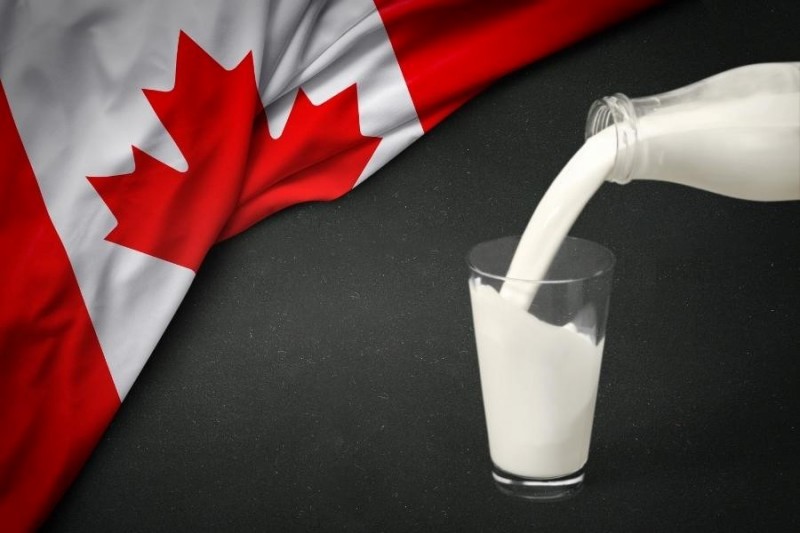 Tranh chấp thương mại đầu tiên trong CPTPP kể từ khi hiệp định được thực thi Tranh chấp thương mại đầu tiên trong CPTPP kể từ khi hiệp định được thực thi