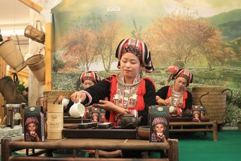 Trà xanh Phìn Hồ - sản phẩm OCOP 5 sao đầu tiên của tỉnh Hà Giang