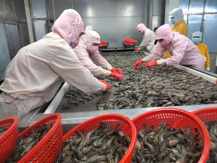 Thực thi Hiệp định EVFTA: Cơ hội và thách thức song hành Thực thi Hiệp định EVFTA: Cơ hội và thách thức song hành