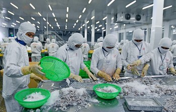 Tận dụng hiệu quả EVFTA: Khuyến nghị từ thực tiễn