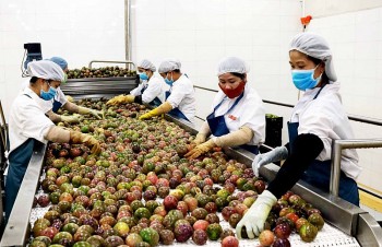 Tăng sự hiện diện của doanh nghiệp Việt Nam tại thị trường EU