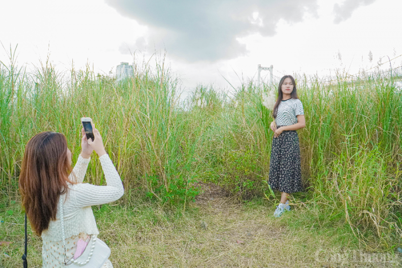 Đà Nẵng: Giới trẻ đua nhau “check in” tại cánh đồng cỏ lau đẹp ngây ngất