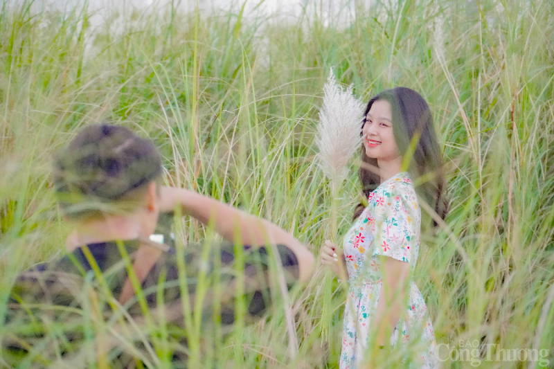 Đà Nẵng: Giới trẻ đua nhau “check in” tại cánh đồng cỏ lau đẹp ngây ngất
