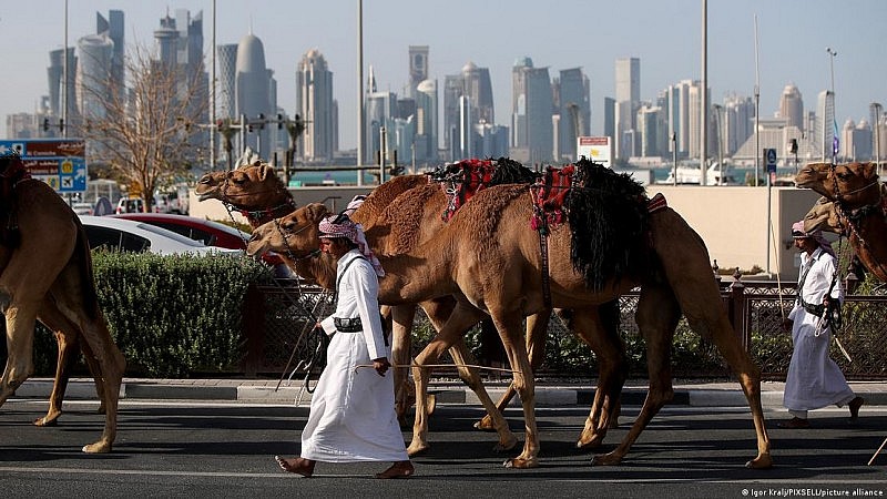 Lao động nhập cư chiếm 70% dân số làm việc tại các quốc gia GCC. Lao động nhập cư chiếm 70% dân số làm việc tại các quốc gia GCC.