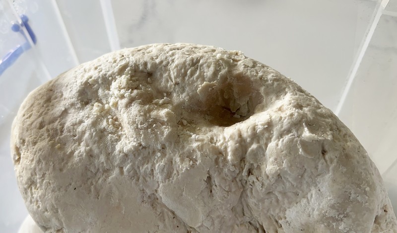 Thừa Thiên Huế: Vớt vật lạ trên biển nghi Long diên hương