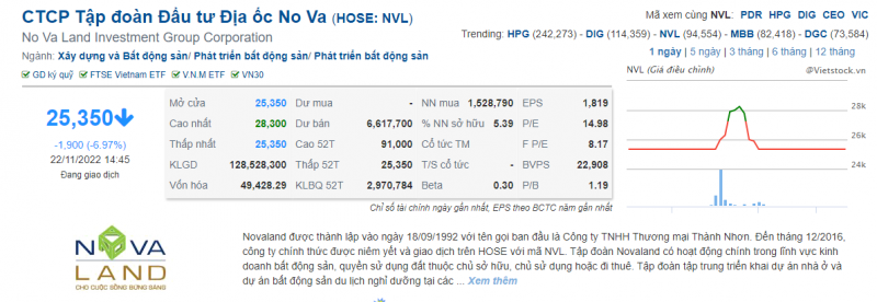 Lệnh dồn dập vào cổ phiếu giá sàn, NVL có được giải cứu?