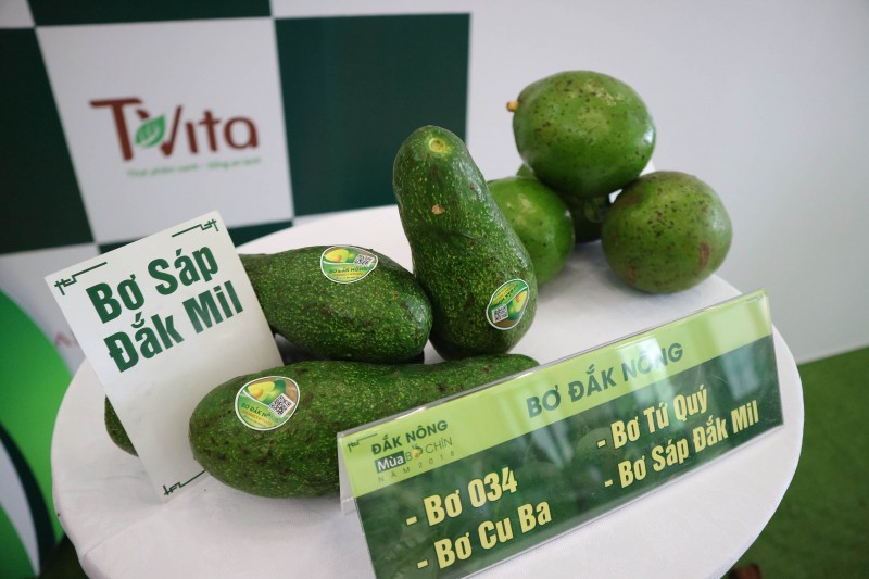 Đắk Nông: Tập trung phát triển 3 sản phẩm nông nghiệp chủ lực của địa phương Đắk Nông: Tập trung phát triển 3 sản phẩm nông nghiệp chủ lực của địa phương