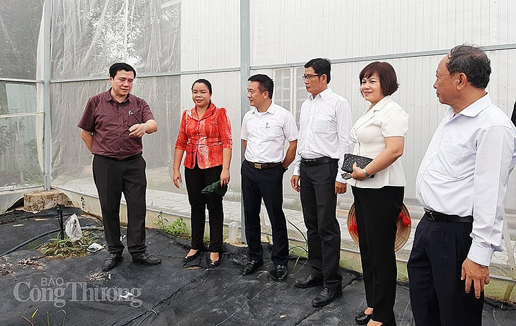 Thứ trưởng Nguyễn Sinh Nhật Tân làm việc với tỉnh An Giang về thực hiện các Chương trình mục tiêu quốc gia Thứ trưởng Nguyễn Sinh Nhật Tân làm việc với tỉnh An Giang về thực hiện các Chương trình mục tiêu quốc gia