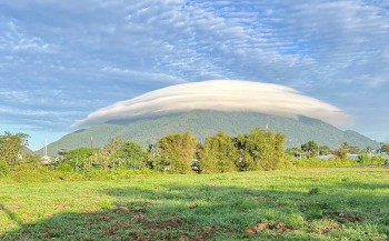 Đồng Nai: Người dân phấn khích trước hiện tượng thiên nhiên kỳ thú trên đỉnh núi