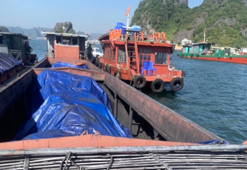 Phương tiện chở than không rõ nguồn gốc của ông Vũ Đức Lục Phương tiện chở than không rõ nguồn gốc của ông Vũ Đức Lục