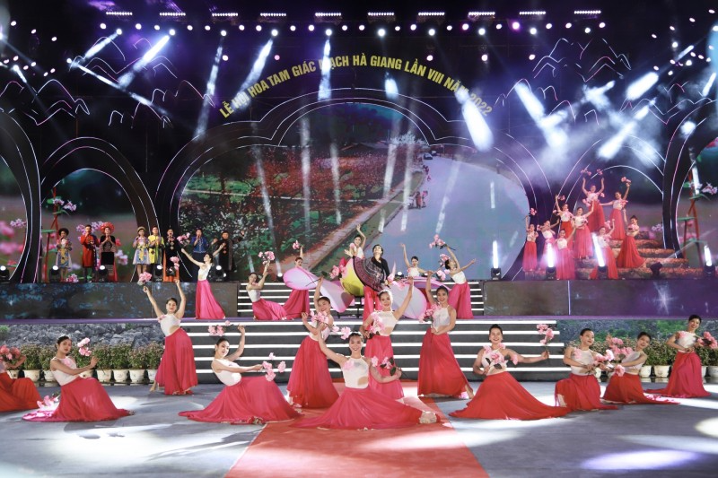 Vũ điệu hoa Tam giác mạch – loài hoa được ví như Sức sống Cao nguyên đá (Ảnh internet) Vũ điệu hoa Tam giác mạch – loài hoa được ví như Sức sống Cao nguyên đá (Ảnh internet)