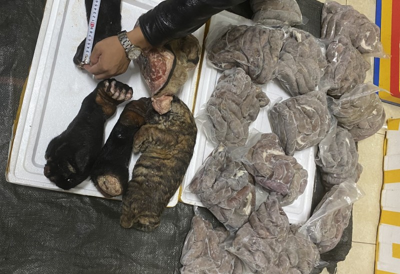 Các loại thịt, bộ phận động vật vận chuyển trên xe Các loại thịt, bộ phận động vật vận chuyển trên xe