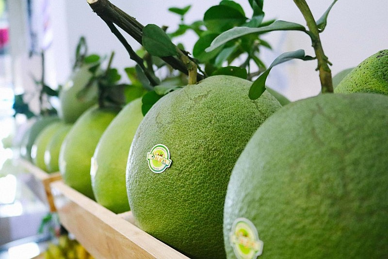 Xuất khẩu lô bưởi đầu tiên sang thị trường Hoa Kỳ Xuất khẩu lô bưởi đầu tiên sang thị trường Hoa Kỳ