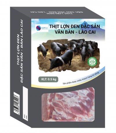 Lào Cai: Nâng cao giá trị lợn đen bản địa theo hướng hàng hóa Lào Cai: Nâng cao giá trị lợn đen bản địa theo hướng hàng hóa