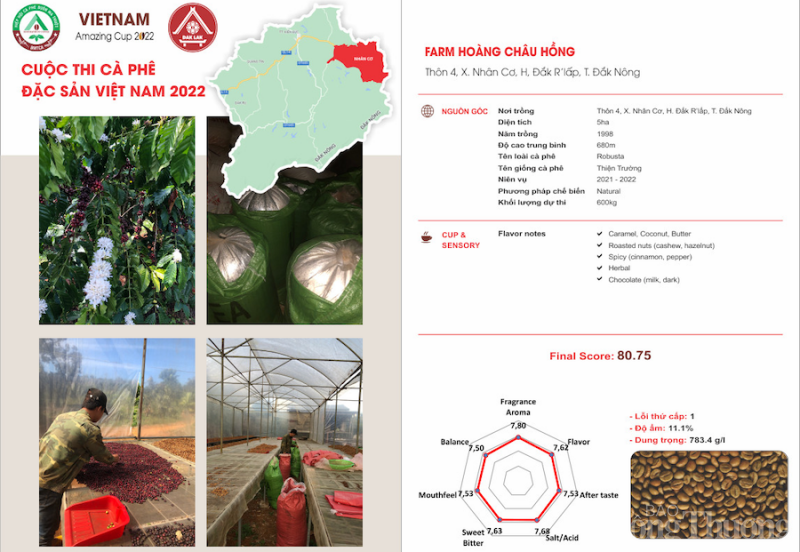 Đắk Nông: Hình thành vùng sản xuất, đẩy mạnh xuất khẩu cà phê đặc sản Đắk Nông: Hình thành vùng sản xuất, đẩy mạnh xuất khẩu cà phê đặc sản