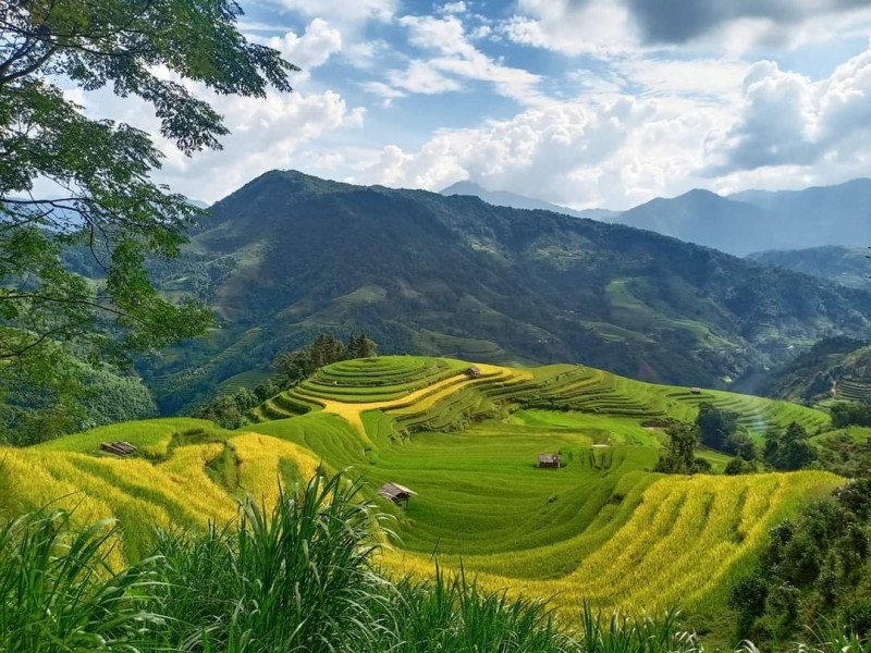 Hà Giang: Du lịch phục hồi mạnh mẽ hậu đại dịch Hà Giang: Du lịch phục hồi mạnh mẽ hậu đại dịch