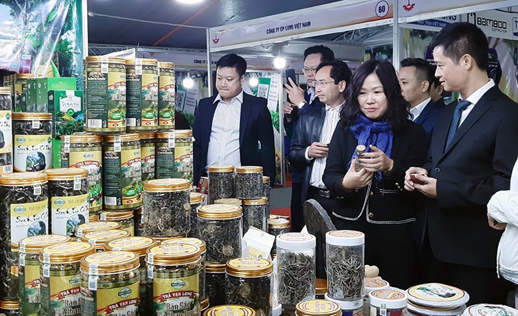 Triển khai cuộc vận động “Người Việt Nam ưu tiên dùng hàng Việt Nam” năm 2023