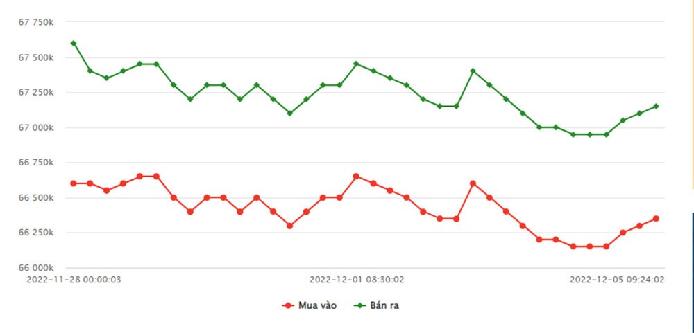Giá vàng hôm nay 5/12: Bật tăng cao, vượt mức 67 triệu đồng/lượng