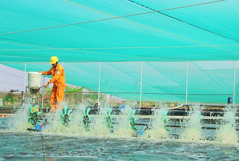 Ngành điện miền Nam thi đua nước rút thực hiện 2.200 sáng kiến hưởng ứng chương trình “1 triệu sáng kiến”